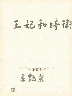 王妃和暗卫野H
