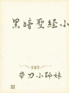 黑暗圣经小说