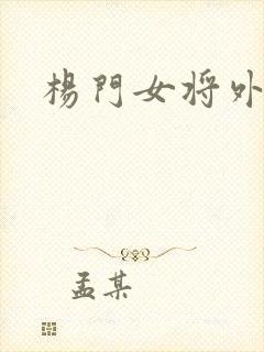 杨门女将外传