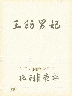 王的男妃