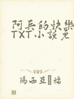 阿兵的快乐生活TXT小说免费阅读全章