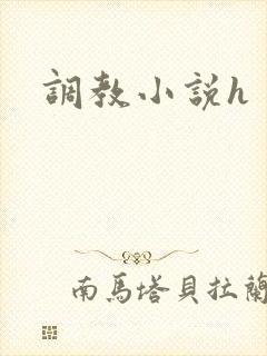 调教小说h