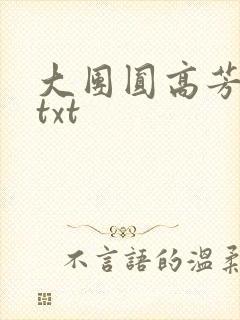 大团圆高芳小说txt