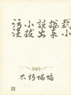 污小说总裁整夜没拔出来小说在线阅读