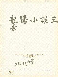龙腾小说三宝局长