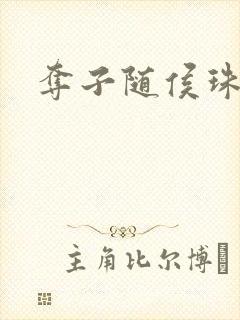 夺子随侯珠