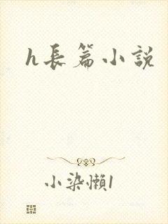 h长篇小说