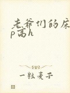 老爷们的床奴np高h