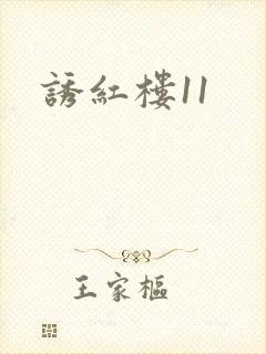 诱红楼11