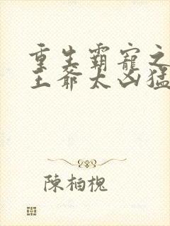 重生霸宠之摄政王爷太凶猛