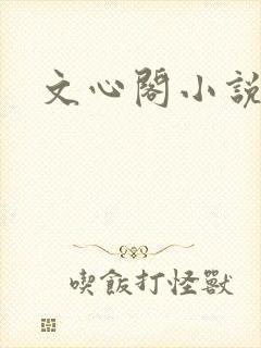 文心阁小说