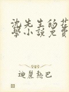 沈先生的花式教学小说免费