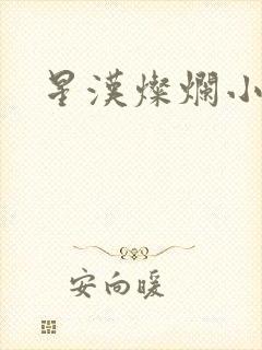 星汉灿烂小说封面