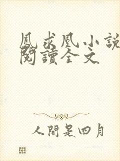 凤求凰小说免费阅读全文