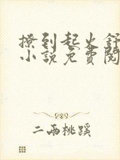 撩到起火舒漾的小说免费阅读全文封面