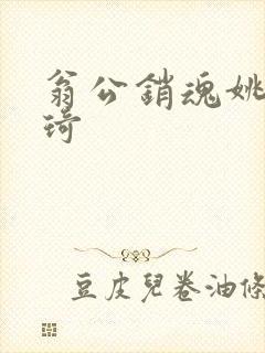 翁公销魂姚瑶琦琦封面