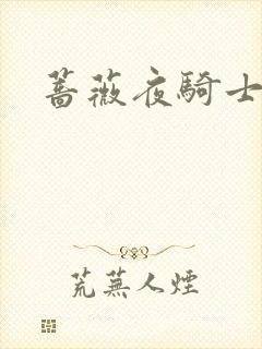 蔷薇夜骑士封面