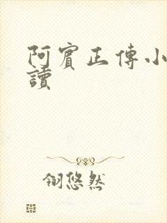 阿宾正传小说在读