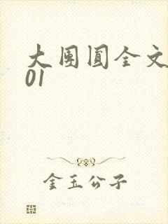 大团圆全文阅读01封面