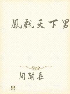 凤戏天下男