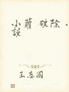 小萝 破除 小说
