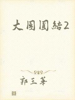 大团圆结2封面