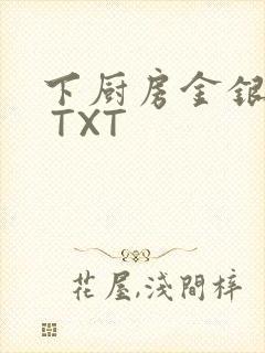 下厨房金银花露 TXT
