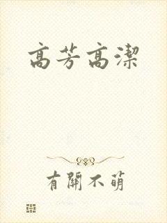 高芳高洁封面