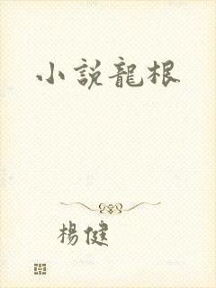 小说龙根封面