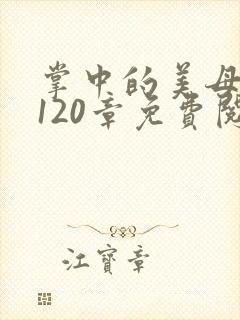 掌中的美母版主120章免费阅读封面