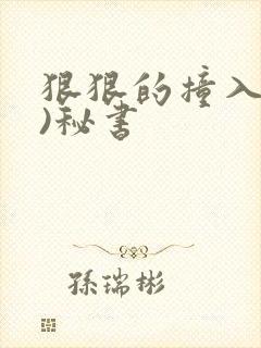 狠狠的撞入(h)秘书