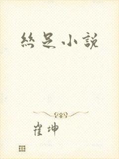 丝足小说封面
