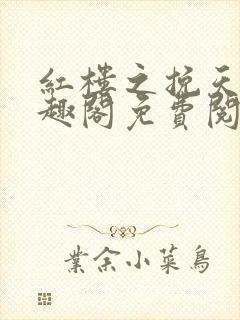 红楼之挽天倾笔趣阁免费阅读