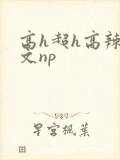 高h超h高辣h文np封面