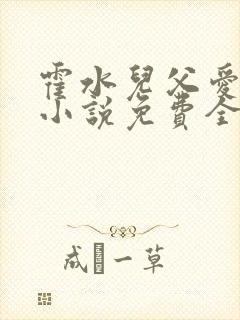 霍水儿父爱霍泽小说免费全文阅读续集封面