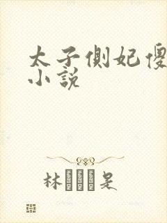 太子侧妃傻乎乎小说封面