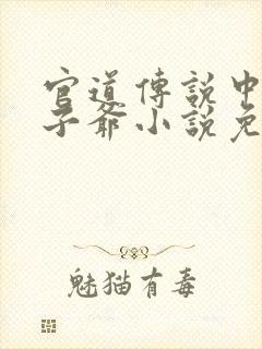 官道传说中的太子爷小说免费阅读