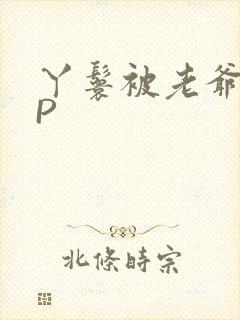 丫鬟被老爷玩NP封面