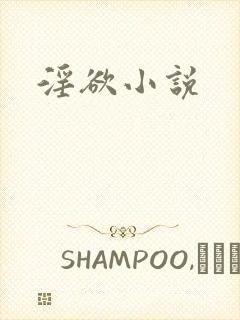 淫欲小说封面