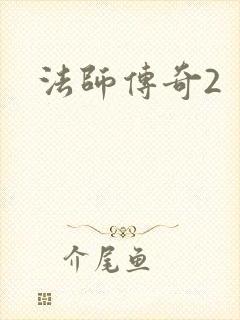 法师传奇2封面