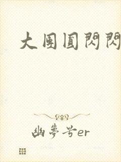 大团圆闪闪发光封面