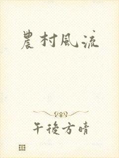 农村风流封面