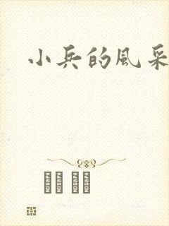 小兵的风采封面