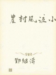 农村风流小说封面
