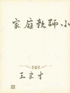 家庭教师小说封面