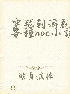 穿越到游戏里和各种npc小说
