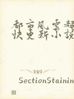 都市风云超前超快更新小说封面