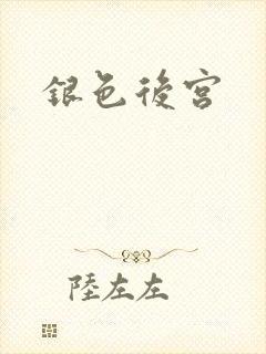银色后宫