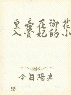 皇帝在御花园进入贵妃的小说