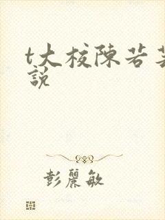 t大校陈若芸小说封面